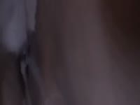Dog sex XXX